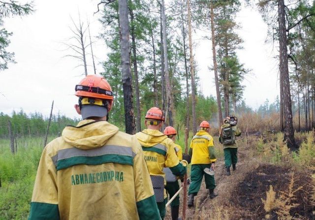В Якутии за сутки в три раза сократилась площадь лесных пожаров