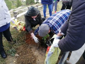 В микрорайоне Кангалассы на «Трибуне счастья» прошла осенняя посадка саженцев