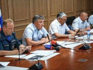 Денис Белозеров поручил усилить борьбу с лесными пожарами на местах