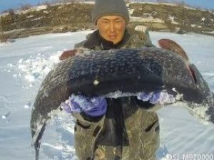 Айсен Николаев в свой день рождения встретится с блогером, автором канала «Клевая рыбалка» 