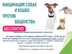 Бесплатная вакцинация собак и кошек против бешенства 