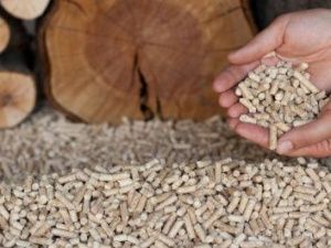 В Якутии лопнул очередной широко разрекламированный мегапроект