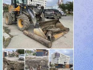 «Казус белли», или история появления пеньков в центре Якутска