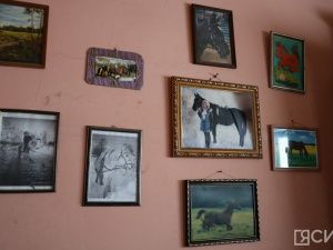 Лошади клуба «Золотая подкова» в Мархе могут не пережить эту зиму