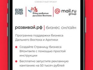 Новый интернет-сервис поможет предпринимателям Дальнего Востока и Арктики открыть онлайн-бизнес 