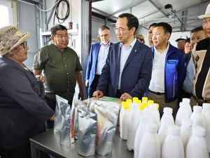 Хозяйство якутян Ионовых планирует стать племенным репродуктором республики по пчеловодству