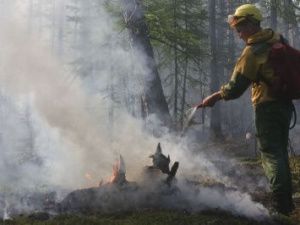 Комиссия Рослесхоза запретила снижать численность пожарных, задействованных на тушении лесных пожаров в Якутии