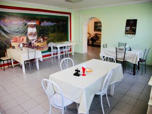 Сардана Авксентьева посетила частный пансионат для престарелых