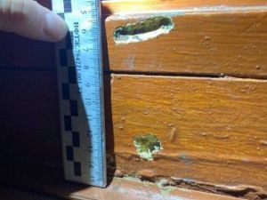 Житель Якутии, стрелявший на улице и направивший оружие на полицейского, заключён под стражу