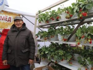 Какую прекрасную продовольственную продукцию можно произвести в Якутии