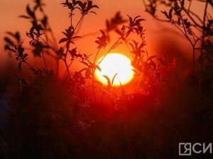 Четыре мощные вспышки произошли на Солнце