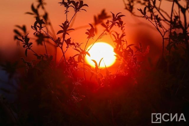 Четыре мощные вспышки произошли на Солнце