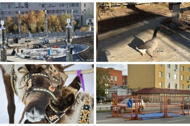 Обзор интересных и популярных новостей в Якутии за 16 сентября