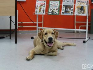 В детской библиотеке Якутска прошло занятие с собакой по кличке Лекси