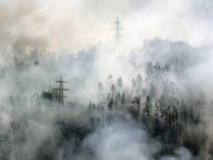 В департаменте по лесным отношениям объяснили причину задымления в Якутске