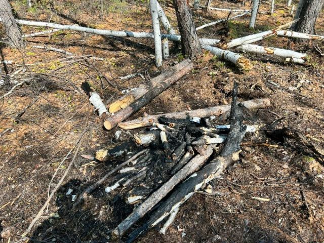 В Якутии по факту исчезновения 68-летнего охотника возбуждено уголовное дело