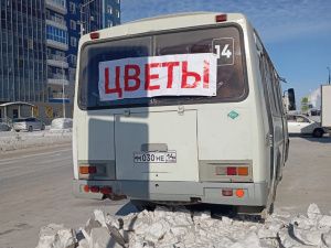 В Якутске запретили торговлю цветами с автобусов 8 марта