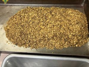 В Якутии руководитель золотодобывающей организации обвиняется в незаконной добыче золота на сумму более 158 млн рублей