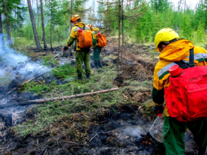 В Якутии за прошедшие сутки ликвидировано три лесных пожара