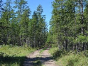 В Абыйском районе Якутии все выходные искали пропавшего без вести пенсионера