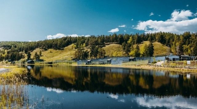 В зоопарке «Орто-Дойду» не все спокойно...