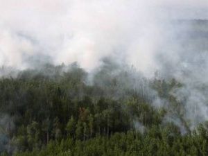В Якутии тушат девять лесных пожаров