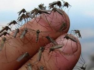 Этот день в календаре. 20 августа