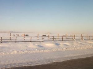 Минимущество Якутии отвечает на вопросы в соцсетях о Дальневосточном гектаре