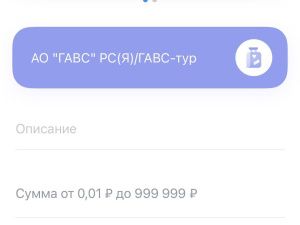 Мошенники, замаскировавшись под ГАВС, обманули двух якутян