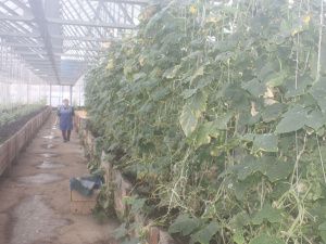 Директор «Ассоциации строителей АЯМ» Егор ФРОЛОВ: Квалифицированных специалистов на Севере не хватает!