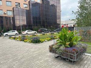 В столице выясняют, чей двор зеленее