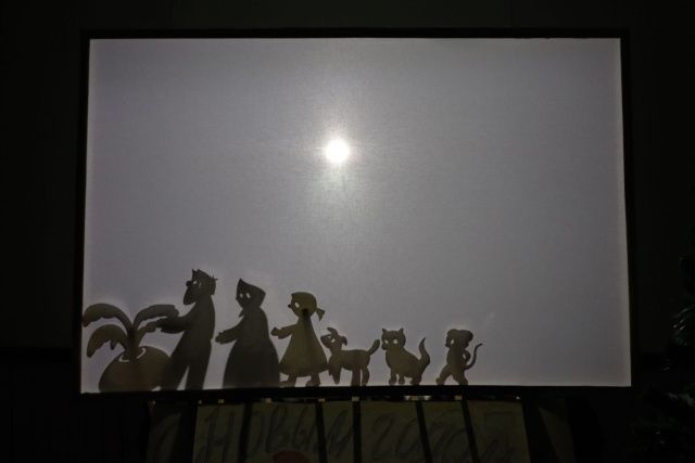 В исправительной колонии создали театр теней