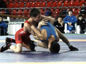 Международный турнир по вольной борьбе на призы Акционерной компании «Железные дороги Якутии» выявил сильнейших юных борцов