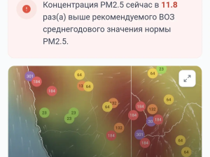 Показатели, которые отражают уровень загрязнения атмосферы в Якутске шкалят. РМ 2,5 превышен в более, чем 11 раз