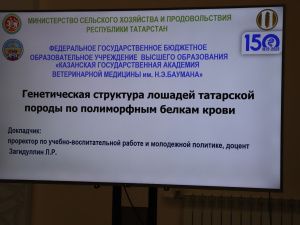 Эксперты по табунному коневодству из регионов России и стран СНГ  собрались в Якутске