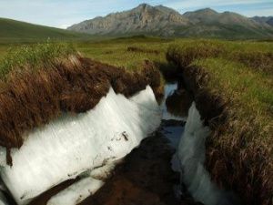 Изменение климата — насущный вопрос для Якутии