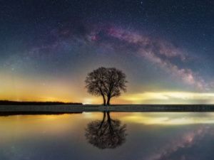 Гороскоп на 17 августа 2023 года: новые проекты и рассеянность в делах