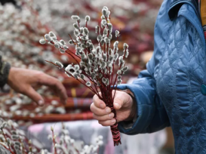 Православные встречают Вербное воскресенье