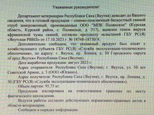 Whatsapp бурлит: В Якутии обнаружен вирус африканской чумы свиней?