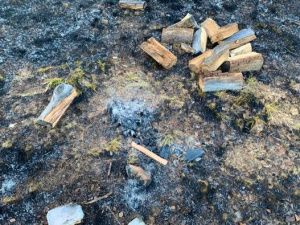 Причиной 23 ландшафтных пожаров стало неосторожное обращение с огнем