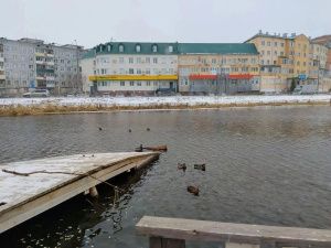 Срочно нужна помощь волонтеров для спасения уток в Якутске