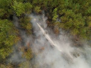 14 лесных пожаров бушуют в Якутии