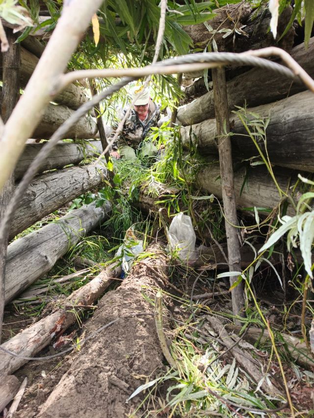 Бригада медвежатников будет регулировать численность медведей