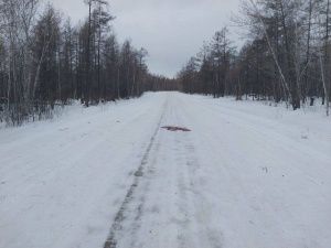 В Мегино-Кангаласском улусе водитель сбил пешехода насмерть и скрылся с места ДТП