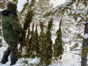 А ну, кому веники с солью? Налетай, лесной народ!