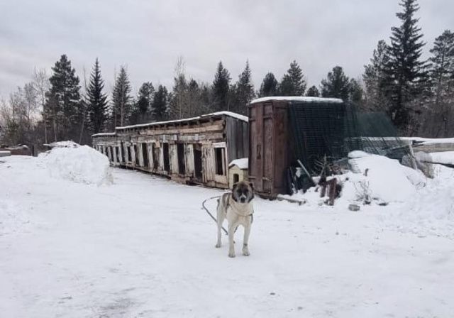 Бурматов сгинул, а что закон?