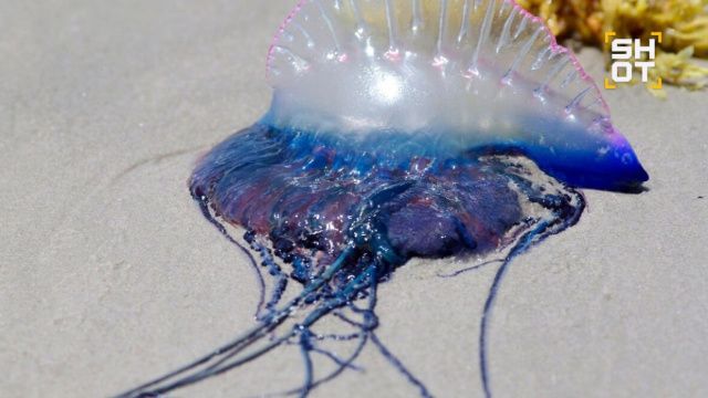 Отдых в Таиланде едва не закончился трагедией для 8-летнего мальчика из Якутска