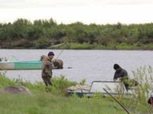 В Жиганском районе полицейские изъяли рыбу у представителей КМНС