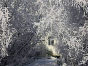 Прогноз погоды в Якутске на четверг, 4 февраля