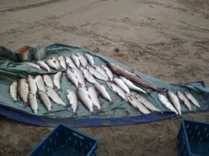 В Якутии задержали пятерых рыбаков-браконьеров